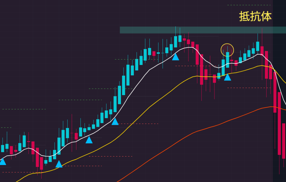 抵抗体の確認方法